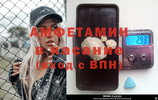 шишки Алзамай