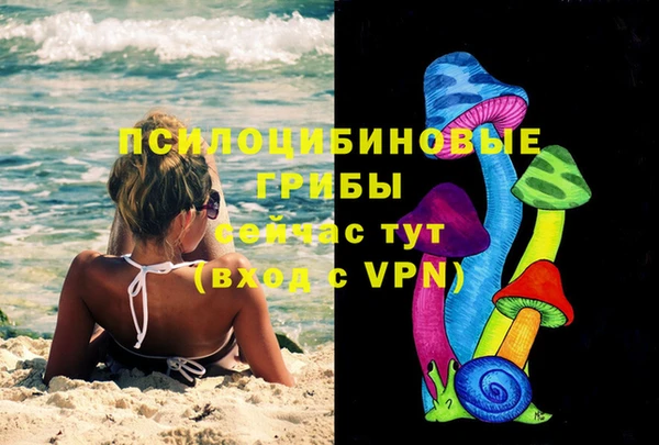 прущие грибы Алексеевка
