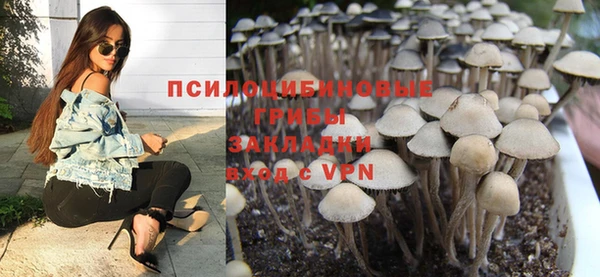 прущие грибы Алексеевка