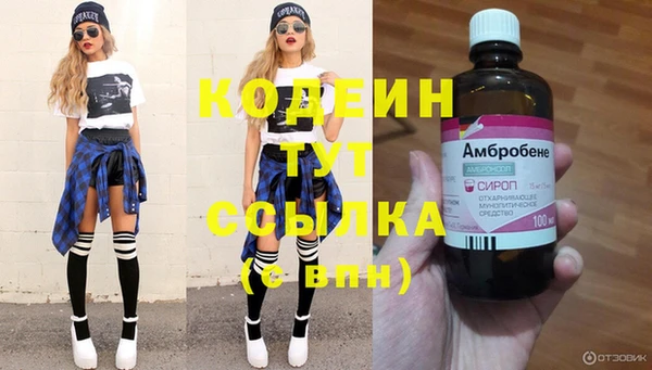 прущие грибы Алексеевка