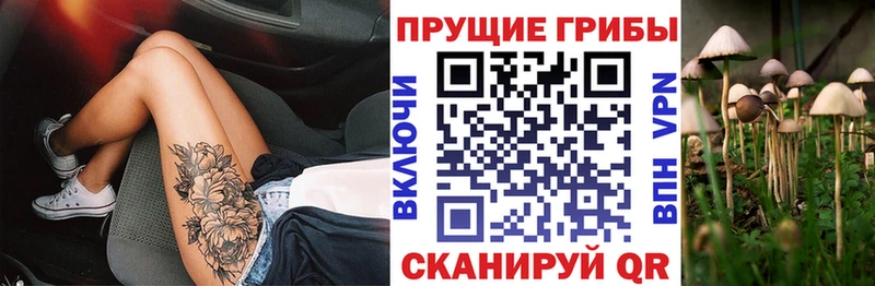 Галлюциногенные грибы Cubensis Рязань
